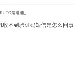 香港短信验证码平台在线查询