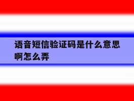 语音短信验证码是什么意思啊怎么弄