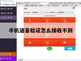 手机语音验证怎么接收不到