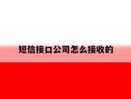 短信接口公司怎么接收的