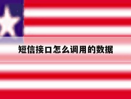 短信接口怎么调用的数据