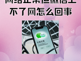 网络短信免费版网页打不开怎么回事