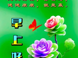 短信广告语大全图片高清大图