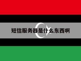短信服务器是什么东西啊