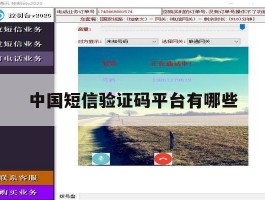中国短信验证码平台有哪些