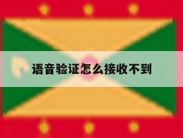 语音验证怎么接收不到