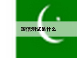 短信测试是什么
