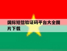 国际短信验证码平台大全图片下载