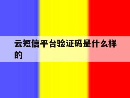 云短信平台验证码是什么样的